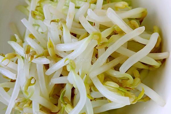凉拌豆芽黄瓜的做法图解6