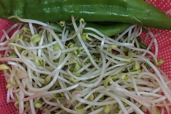 黄豆芽炖香辣鱼的做法图解3