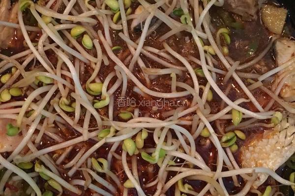 黄豆芽炖香辣鱼的做法图解12