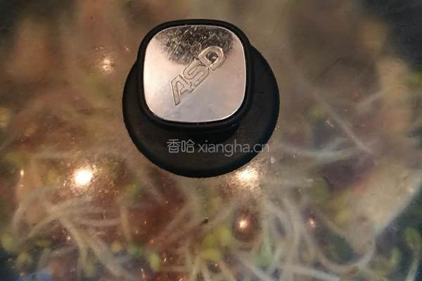 黄豆芽炖香辣鱼的做法图解13