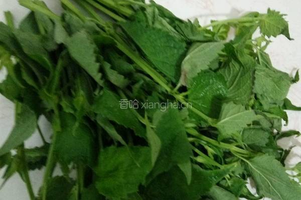 粑蒿酱煎鸡蛋饼的做法图解1