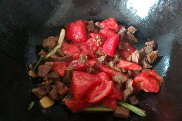 西红柿炖牛肉的做法图解7