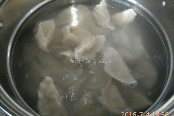 白萝卜羊肉馅饺子的做法图解13