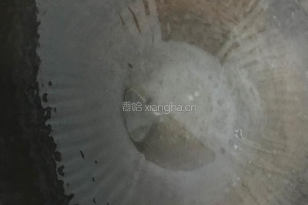 豆芽炒韭菜的做法图解2