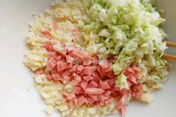 卷心菜土豆饼的做法图解5