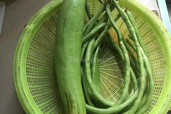 绿茄子炒豆角的做法图解1