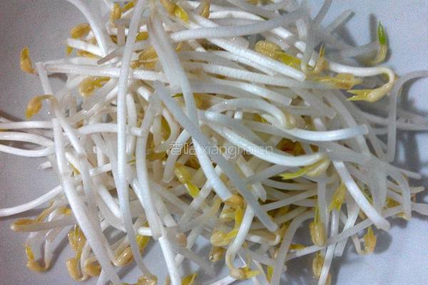 瘦肉绿豆芽汤的做法图解1