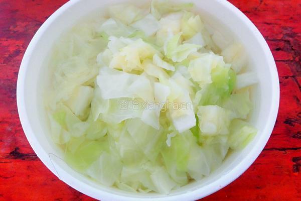 油泼卷心菜的做法图解4