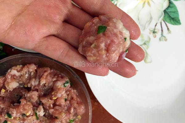 白萝卜丝肉丸的做法图解9