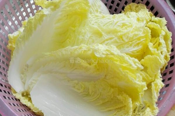 酸辣白菜的做法图解1