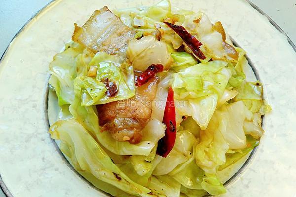 手撕卷心菜的做法图解12