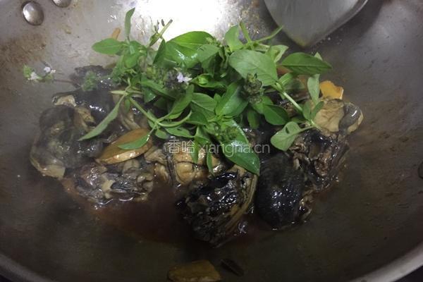 三杯鸡的做法图解7