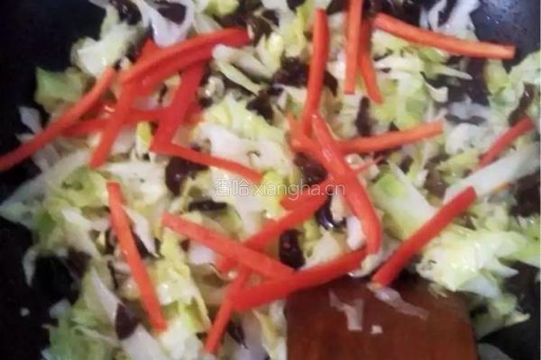 卷心菜炒黑木耳的做法图解5