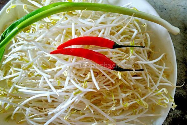 浇汁绿豆芽的做法图解1