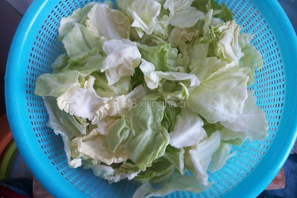 手撒卷心菜的做法图解1