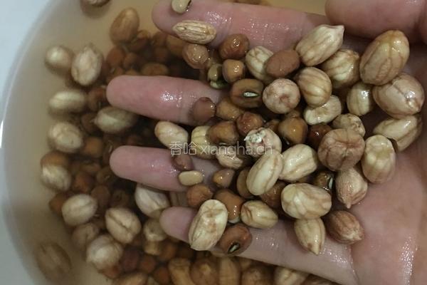 红豆花生粥的做法图解1