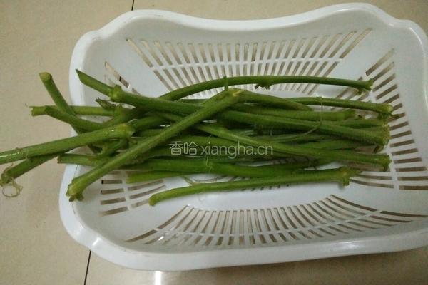 清炒南瓜藤的做法图解1