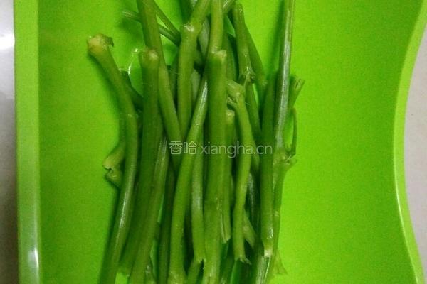 清炒南瓜藤的做法图解2