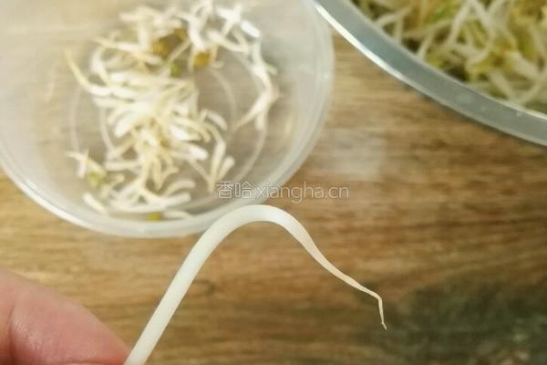 绿豆芽炒肉沫的做法图解2