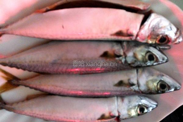 清蒸巴浪鱼的做法图解1