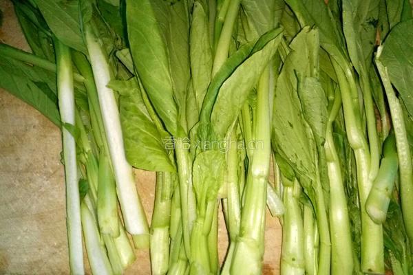 酱炒空心菜的做法图解1