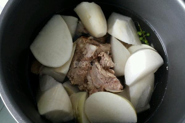 萝卜煮骨头的做法图解4