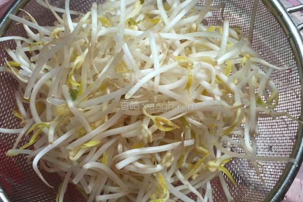 绿豆芽炒粉虫的做法图解3