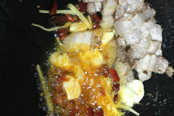 回锅肉(家常版)的做法图解9