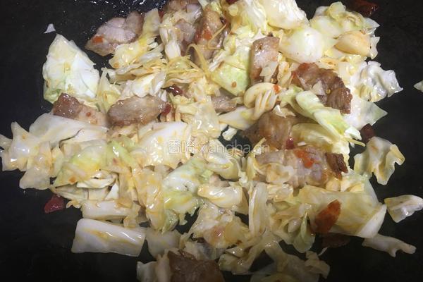 回锅肉(家常版)的做法图解11