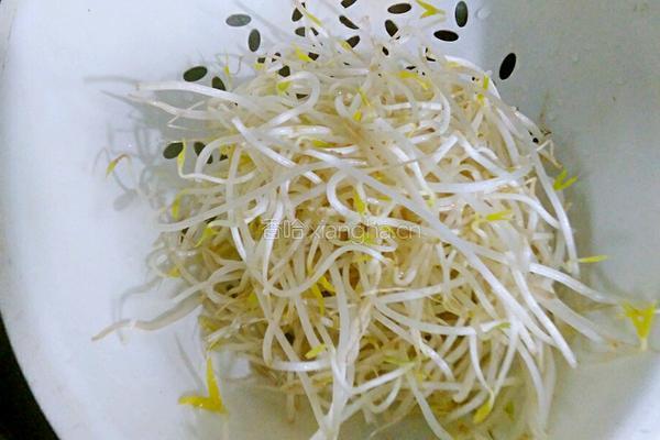 绿豆芽炒肉丝的做法图解4