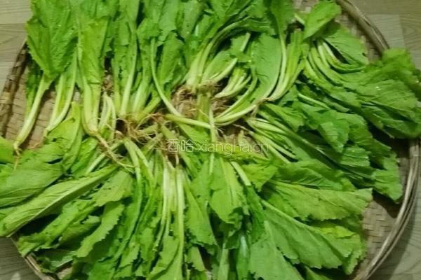 水腌菜的做法图解1