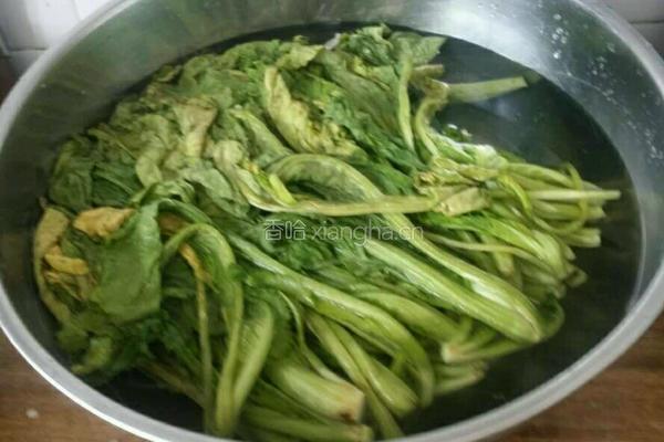 水腌菜的做法图解2