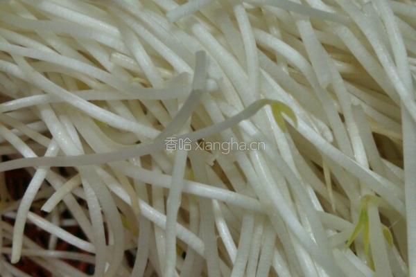 凉拌緑豆芽腐竹的做法图解1
