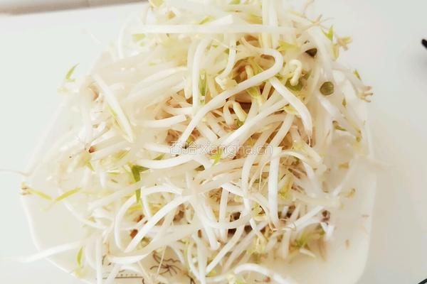 炒绿豆芽的做法图解1