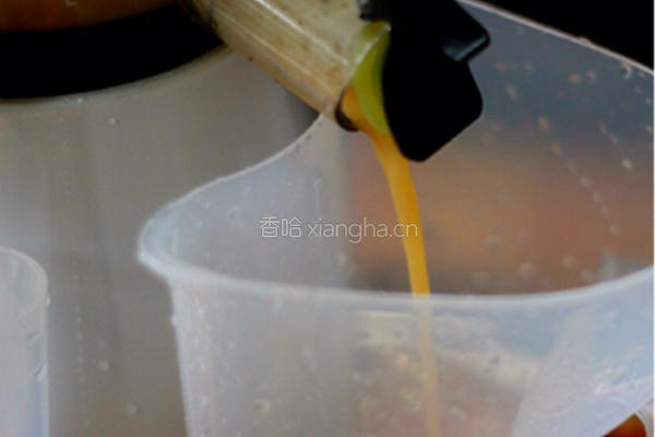 哈密瓜汁的做法图解3