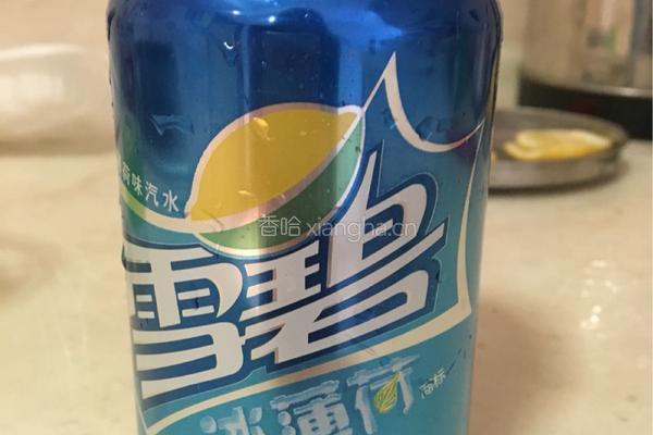 柠檬味气泡酒的做法图解5