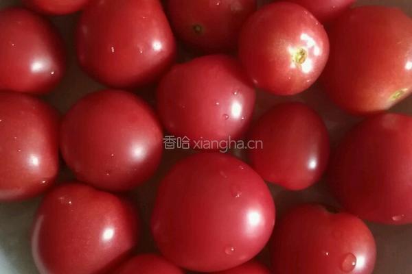 红梅傲雪的做法图解1