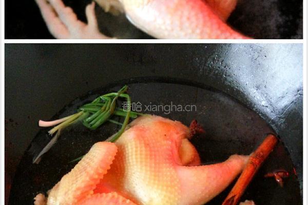 口水鸡的做法图解2