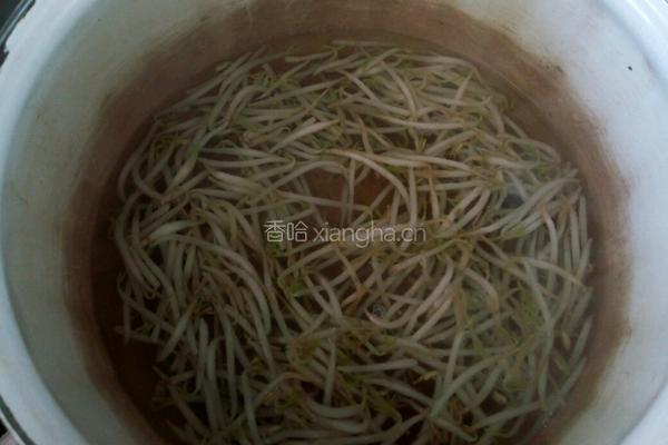 绿豆芽炒韭菜的做法图解4