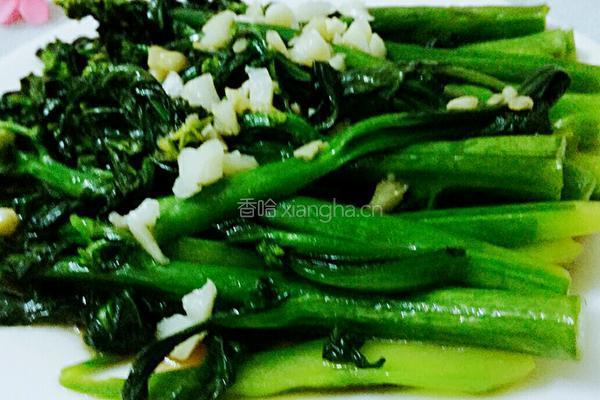 蒜蓉菜心的做法图解8