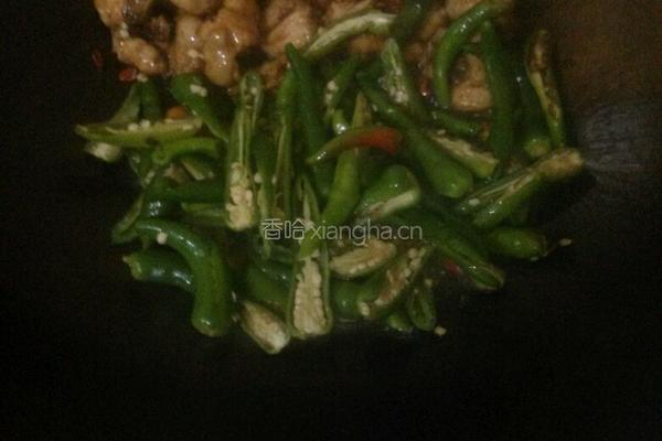 辣椒小鸡腿的做法图解9