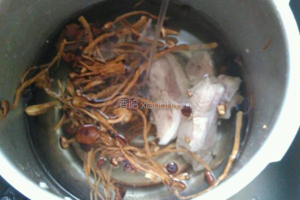 茶树菇肉骨头汤的做法图解2