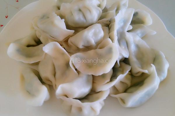 韭菜鸡蛋馅饺子的做法图解25