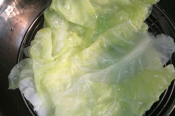 卷心菜卷金针菇的做法图解5