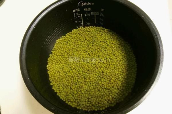 原味绿豆粥的做法图解1