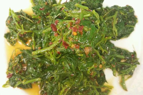 凉拌灰灰菜