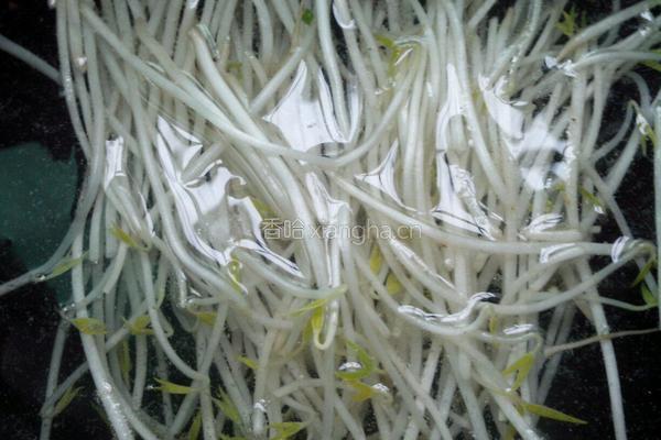 糊涂豆芽拌粉的做法图解7