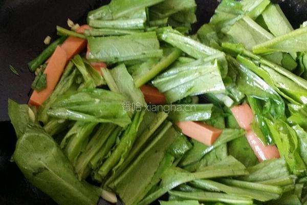 蒜蓉油麦菜的做法图解4