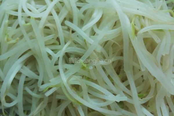 绿豆芽孵蛋的做法图解3