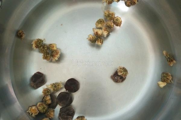 桂圆菊花茶的做法图解4